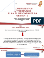 Requerimiento, Plan Nutricional Gestante