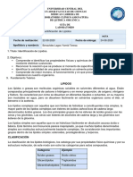 Informe Práctica Lipidos