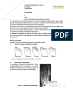 Guía de Análisis de Huella Plantar