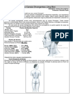 Resumo Canais Divergentes (P.turma) PDF