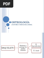 Osteologia PDF