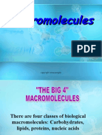 Macromolecules