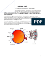 Unidad 2 Visión