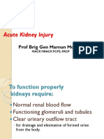 Acute Kidney Injury-An Update