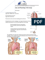 Lung Anatomy Physiology PDF