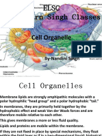 Elsc Easy Learn Singh Classes: Cell Organelle