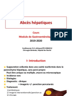 COURS MODULE GASTRO Abcès Hépatiques 05 Février 2018 DR Chihaoui PDF