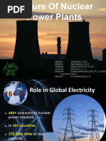 Future of Nuclear Power Plants