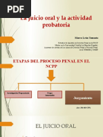 La Actividad Probatoria en El Juicio Oral Marco León Tomasto