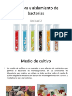 Siembra y Aislamiento de Bacterias