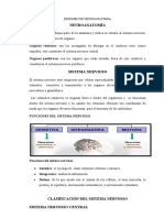 Resumen de Neuroanatomia