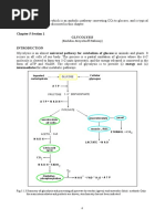 Chapter 5 Section 1 Glycolysis: Ingested Carbohydrate Cellular Glycogen