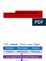 HISTOPATH Introduction PDF