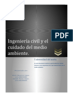 Ensayo Ingenieria Civil y Cuidado Del Medio Ambiente.