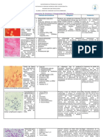 Bacterias Cuadro Comparativo