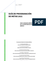 23-07-20 Guia Programación Metas 2021 + 2020