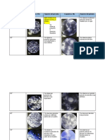 Informe Practicas 1