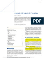 Anatomie Chirurgicale de L'œsophage