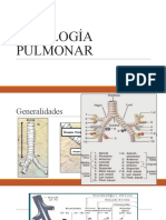 FISIOLOGÍA PULMONAR Clase Uci.