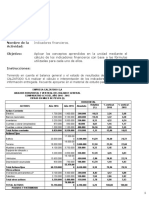 Actividad Indicadores Financieros