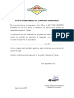 Acta de Nombramiento Del Supervisor de Seguridad