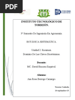 U.2 Resumen Claves Dicotomicas Botanica Sistematica 