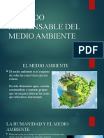 Cuidado Responsable Del Medio Ambiente