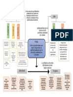 Mapa Mental PRAE PDF