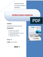 Estructuras Fungicas