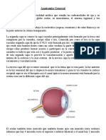 Anatomia Oftalmologica