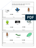 Food Chain Worksheet Grade 3