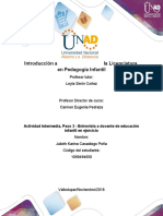 Elaboración de La Entrevista A Un Docente de Educación Infantil en Ejercicio