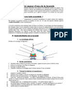 TP Hydrodistillation Lavande 07-08