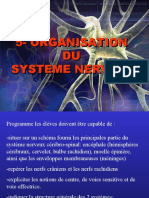 5-Organisation DU Systeme Nerveux