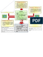 Persona, Dignidad y Fundamentos de Los DD - Hh.