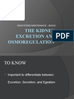 The Kidney, Excretion and Osmoregulation