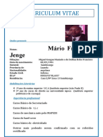 CV Mario