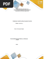 Formato - Paso 1 Ejercicios Neuropsicologia Carolina