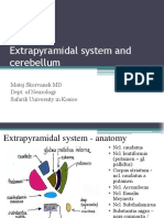 Extrapyramidal System and Cerebellum