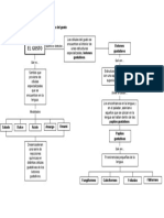 Mapa Conceptual Del Sentido Del Gusto