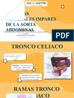 Arterias Viscerales Impares de La Aorta Abdominal