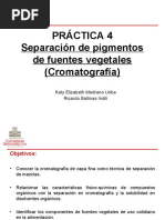 Presentación Práctica Cromatografía