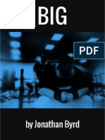 BIG Workout System - 2 PDF