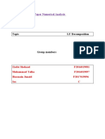 Term Paper Numerical Analysis Final