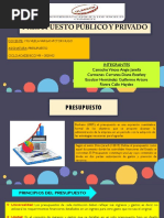 Diapositivas Presupuesto Publico y Privado - Presupuesto Viii - 202002.