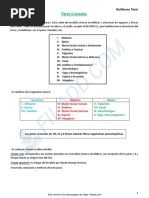 Pares Craneales PDF