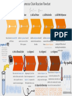 Julie Bui - Polymerase Chain Reaction Flowchart