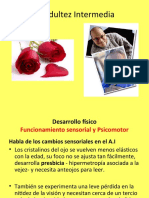 La Adultez Intermedia