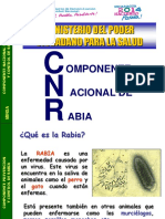 Informacion Sobre La Rabia PDF