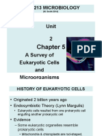 BIOL 213 UNIT 2 (CHAPTER 5) (14) SLIDES (Compatibility Mode)